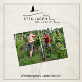 Steillagenkollektiv - Weinbergkurs Laubarbeiten und Bodenbearbeitung| 12.07.2025