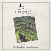 Steillagenkollektiv - Weinbergkurs Neuanlage im Weinberg | 12.04.2025