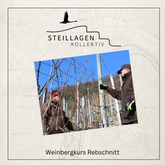 Steillagenkollektiv - Weinbergkurs Rebschnitt| 15.02.2025