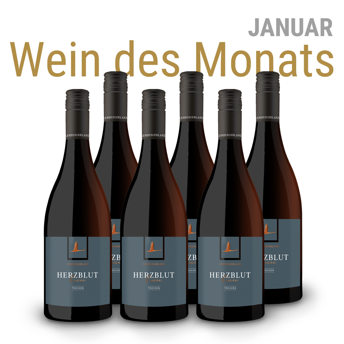 Wein des Monats Januar | 6er Herzblut Cuvée "Meisterwerk" trocken Paket