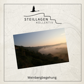 Steillagenkollektiv - Weinbergführung | So. 19.10.2025 - Mühlhausen