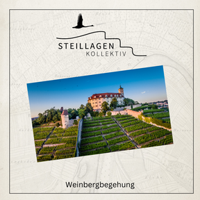 Steillagenkollektiv - Weinbergführung | Mi. 21.05.2025 - Vaihingen