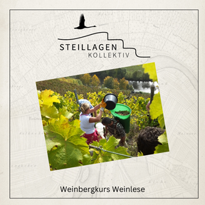 Steillagenkollektiv - Weinbergkurs Weinlese| 27.09.2025